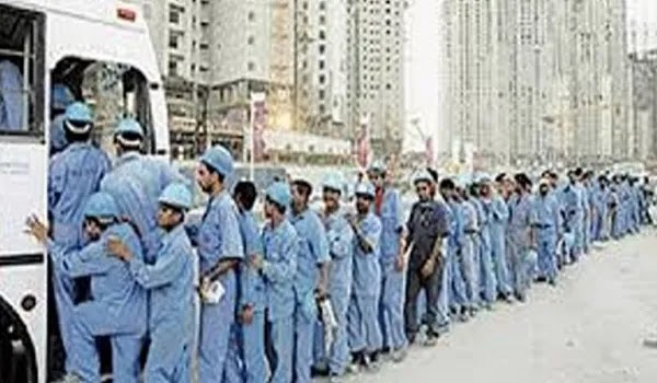 Demand for Pakistani Workers Has Increased In Saudi Arabia Demand for Pakistani Workers Has Increased In Saudi Arabia