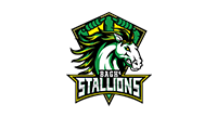 Bagh Stallions Bagh Stallions