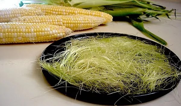 Corn or kiln hair