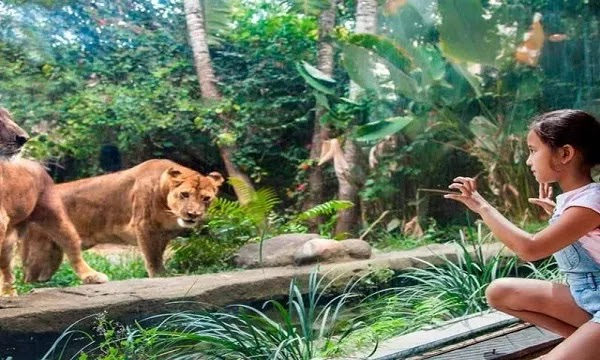 Mukesh Ambani Announces to Build World's Largest Zoo in India