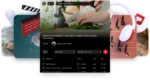Viddly Youtube Downloader