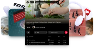 Viddly Youtube Downloader