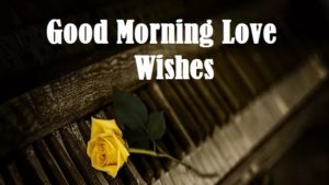 130+ Best Good Morning Wished for Free
