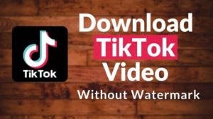 How to Download TikTok Video Without Logo