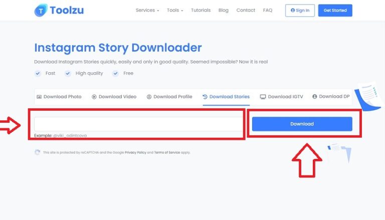 Toolzu Instagram Downloader: Download Instagram Story and Video for Free