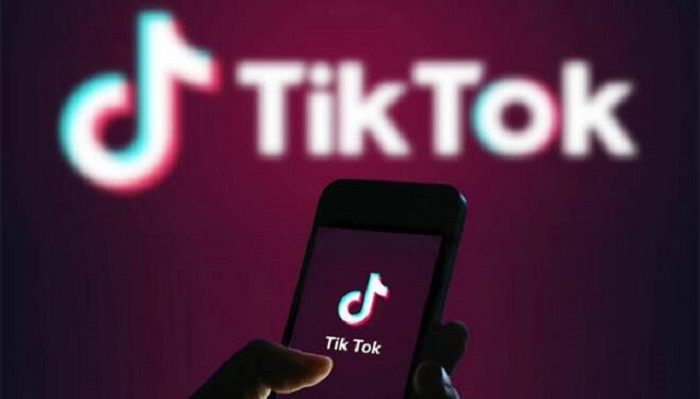 How to Download and Remove TikTok Video Logo on SnapTik