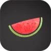 Melon VPN Download Apk