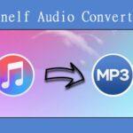 Tunelf Audio Converter Review & Download