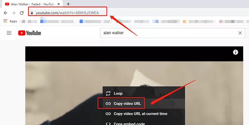 Copy your favorite video's URL from YouTube.