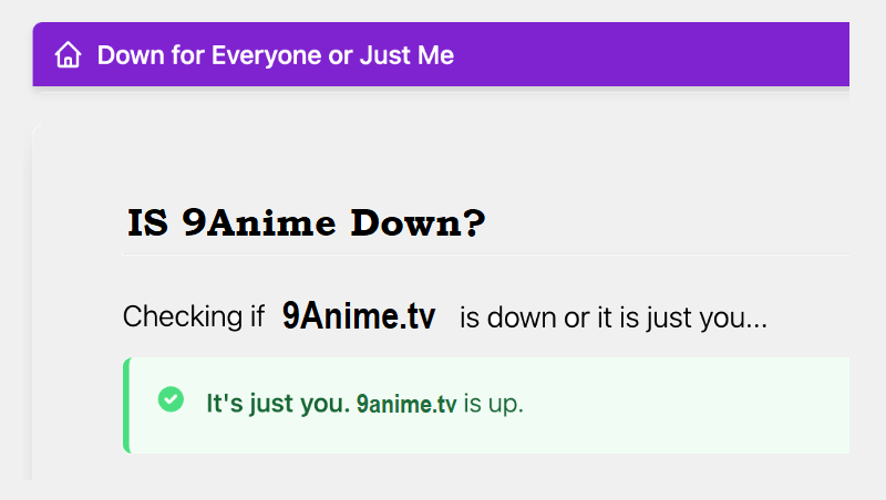 Is 9anime Down Currently?