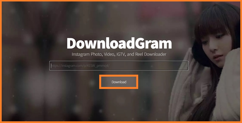 Downloadgram Instagram Downloader Review
